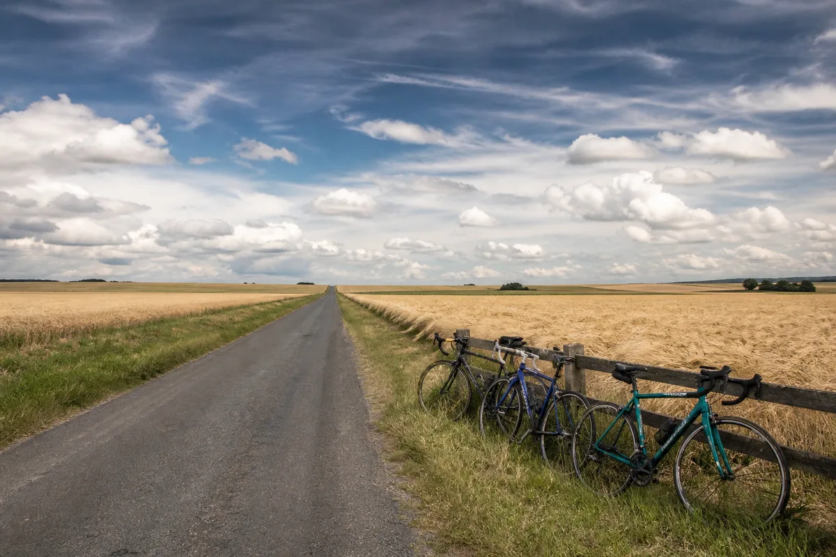 Route rectiligne traversant un champ de blé sous un ciel venteux